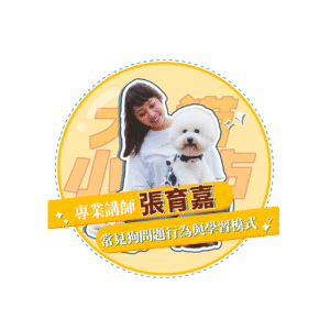 稿定设计 12