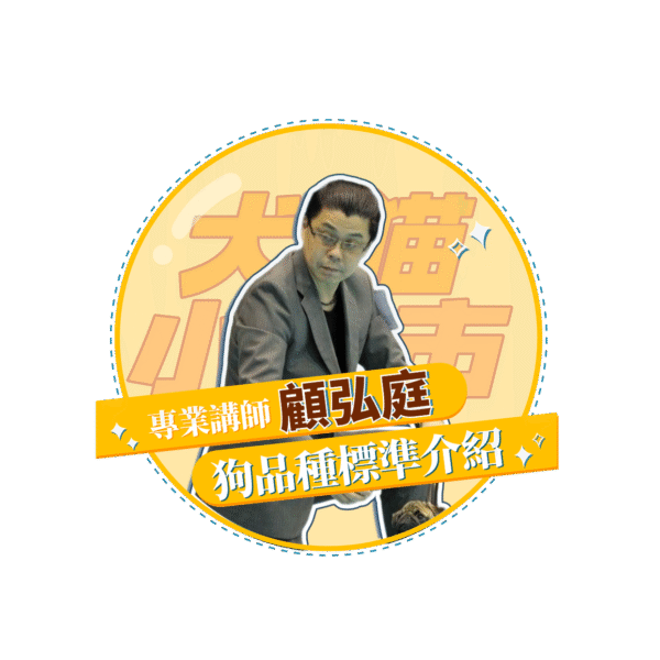 稿定设计 15