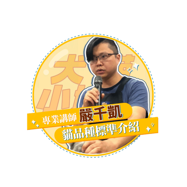 稿定设计 18