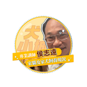 稿定设计 22