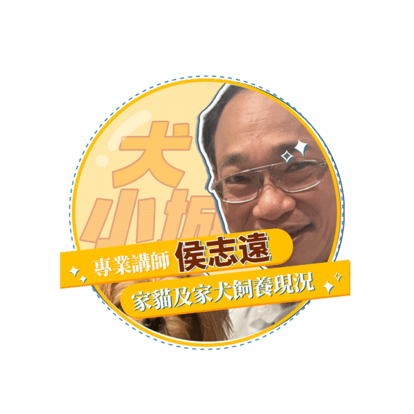 稿定设计 22