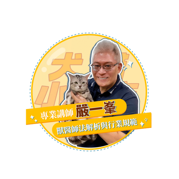 稿定设计 25