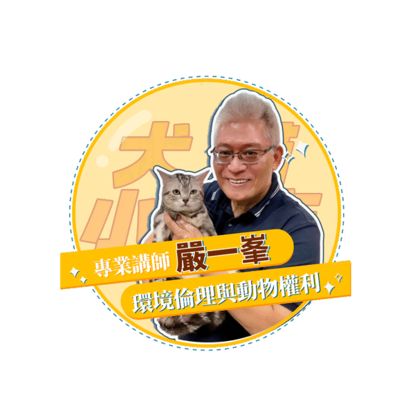 稿定设计 28