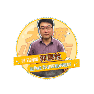 稿定设计 29
