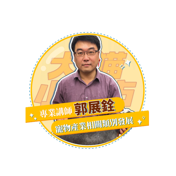 稿定设计 29