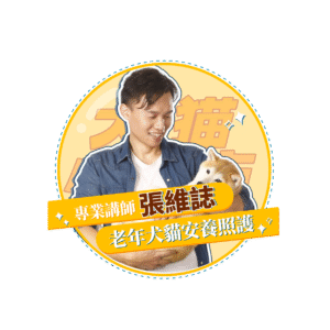 稿定设计 35