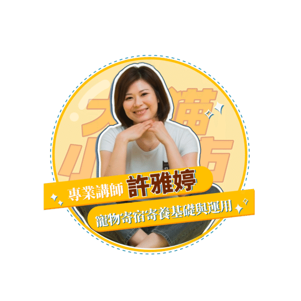 稿定设计 41
