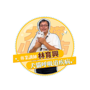 【犬貓小城市 單堂】犬貓呼吸道疾病