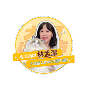 【犬貓小城市 單堂】犬貓常見疾病介紹與預防