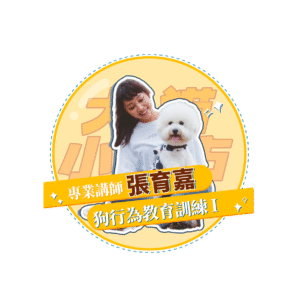 【犬貓小城市 單堂】狗行為教育訓練