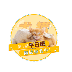 【犬貓小城市 全堂】第十期平日班