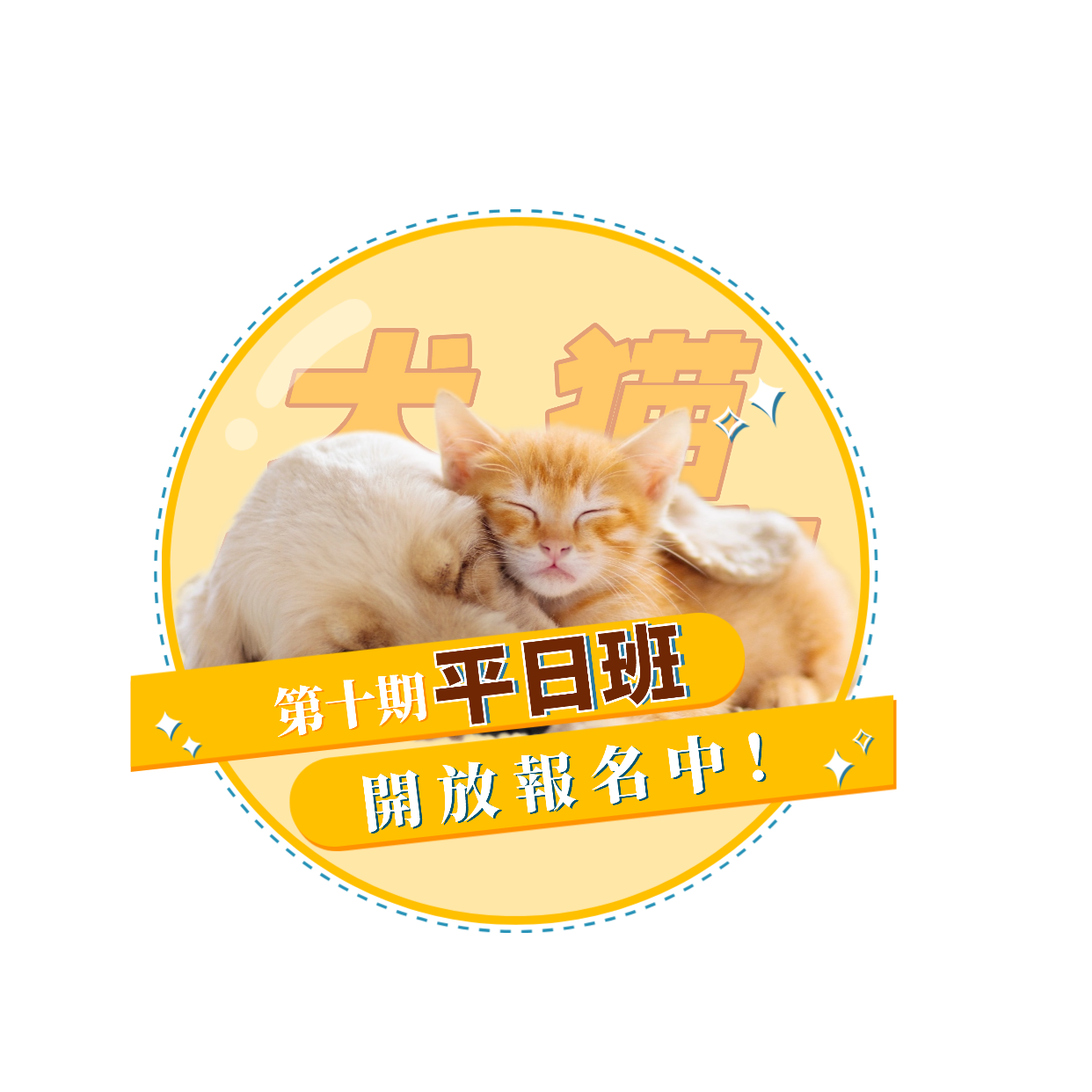 【犬貓小城市 全堂】第十期平日班 【犬貓小城市 全堂】第十期平日班