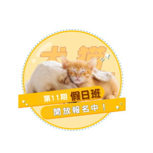 【犬貓小城市-全堂】第11期假日班