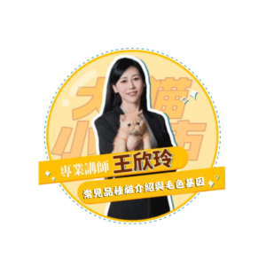 【犬貓小城市-單堂】犬貓日常照護需求